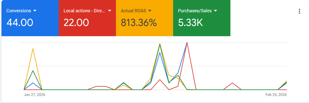 Google Ads — 813% ROAS, 5.33K purchases